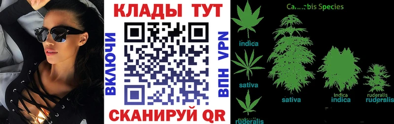 Продажа наркотиков Сосновый Бор Cocaine Мефедрон Псилоцибиновые грибы Марихуана Гашиш Alpha PVP