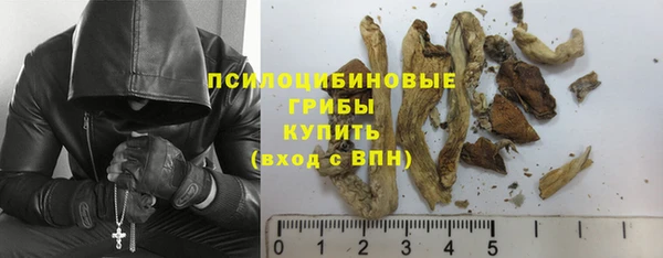 сатива Лагань