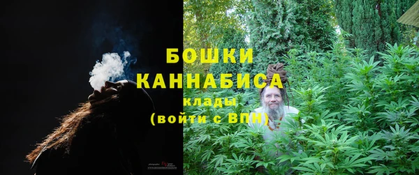 метадон Ладушкин