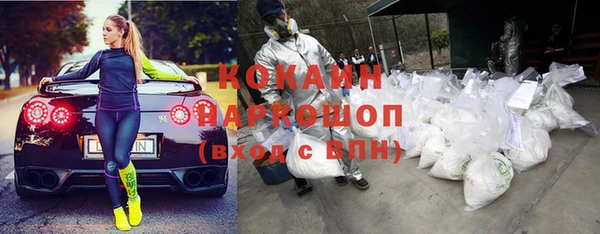 сатива Лагань