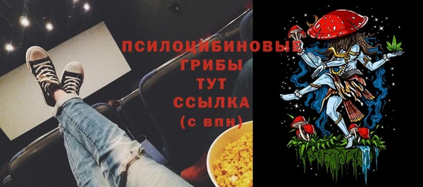тгк Костерёво