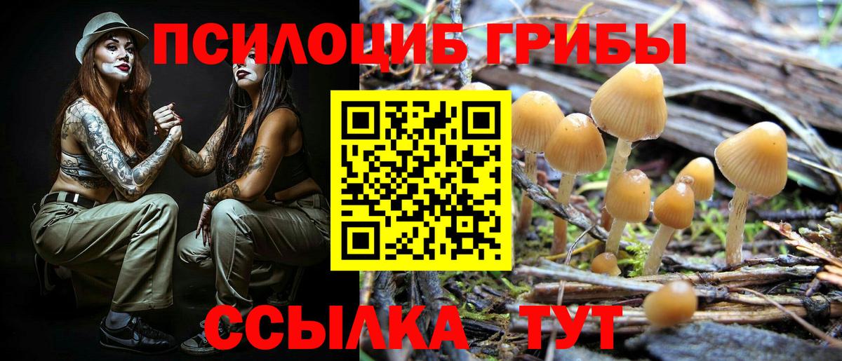 Галлюциногенные грибы GOLDEN TEACHER Сосновый Бор