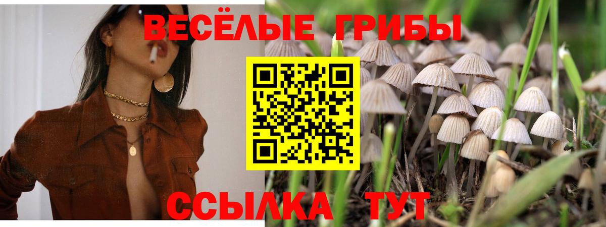 Галлюциногенные грибы мицелий  Вход с VPN  Сосновый Бор 