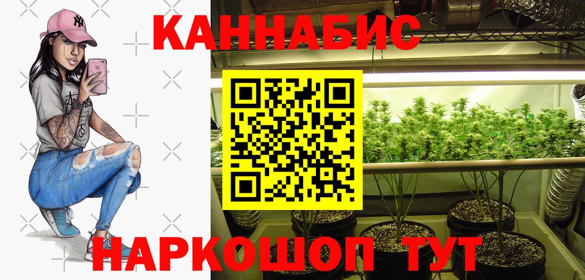 МАРИХУАНА сатива Сосновый Бор